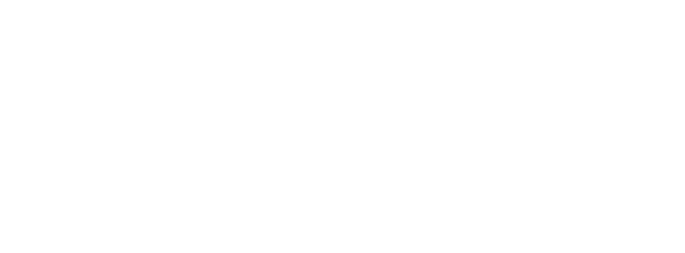 33 Dogcat